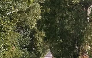 AFFRONTARE O RIMANDARE?