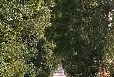 AFFRONTARE O RIMANDARE?