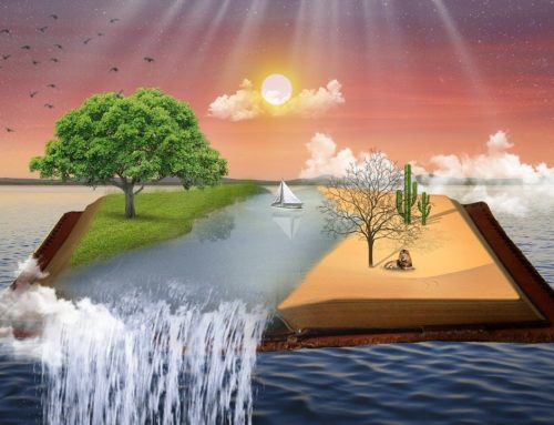 I ROVESCI DEL CLIMA ORGANIZZATIVO