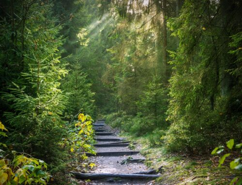 IL PREREQUISITO PER UNA LEADERSHIP EFFICACE ED AUTENTICA